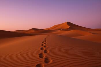 Indented footprints across Sam dunes under lilac sky